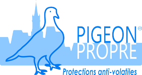 pigeon propre